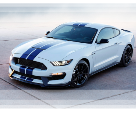 Shelby 500